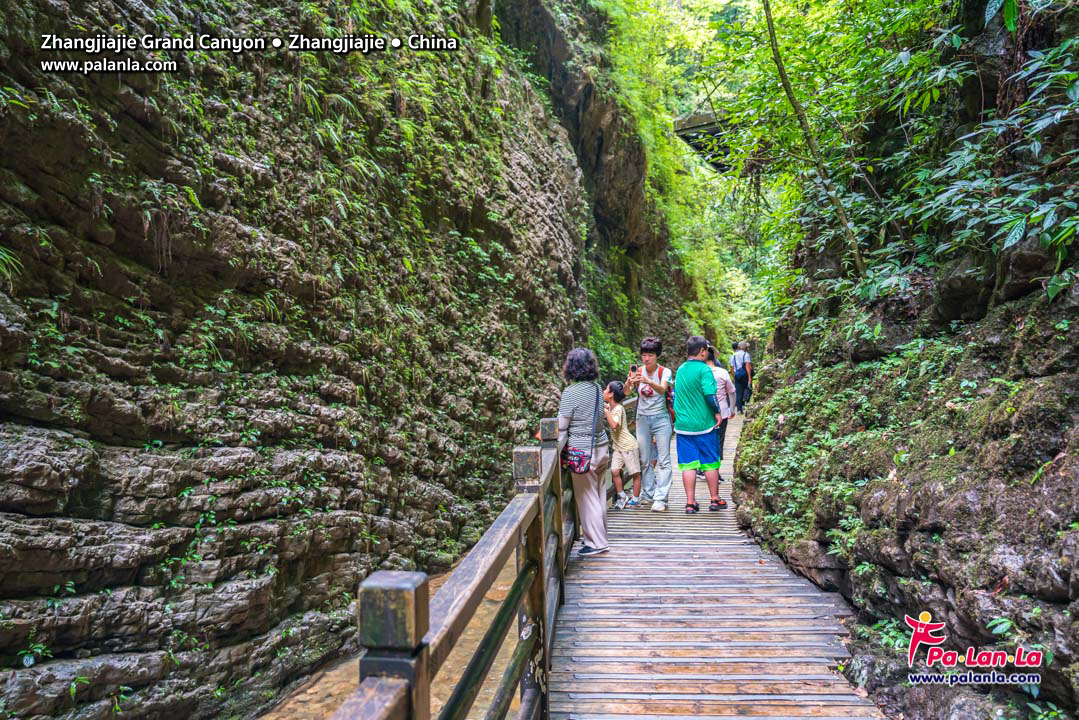 Zhangjiajie Grand Canyon